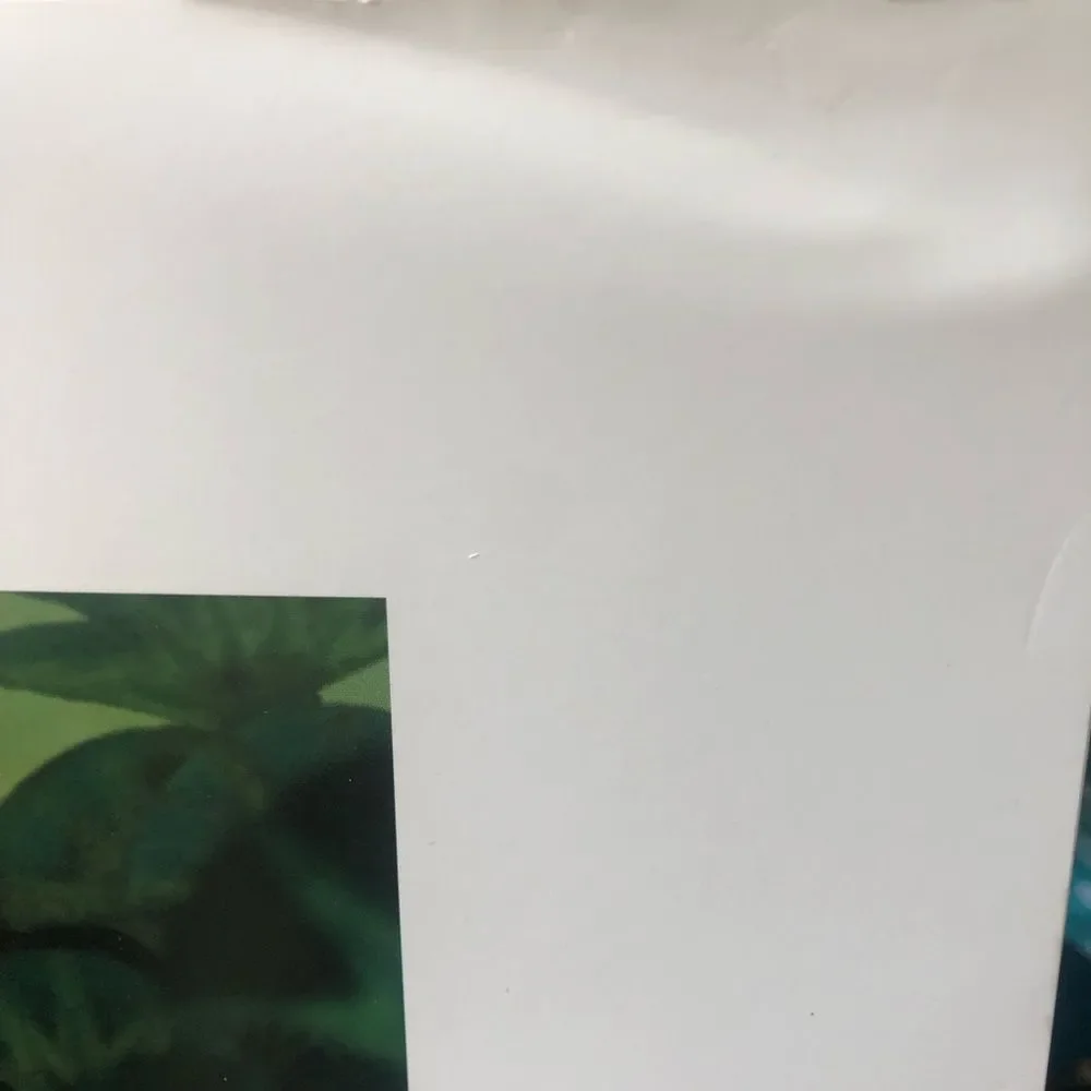 2 Lion King Prints from Disney Parks 
